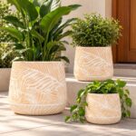 Round Petal Stamped Plastic Planter Box | Beige | 3 Sizes