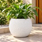 Moon Style Round Plastic Planter Box | 26x27 cm